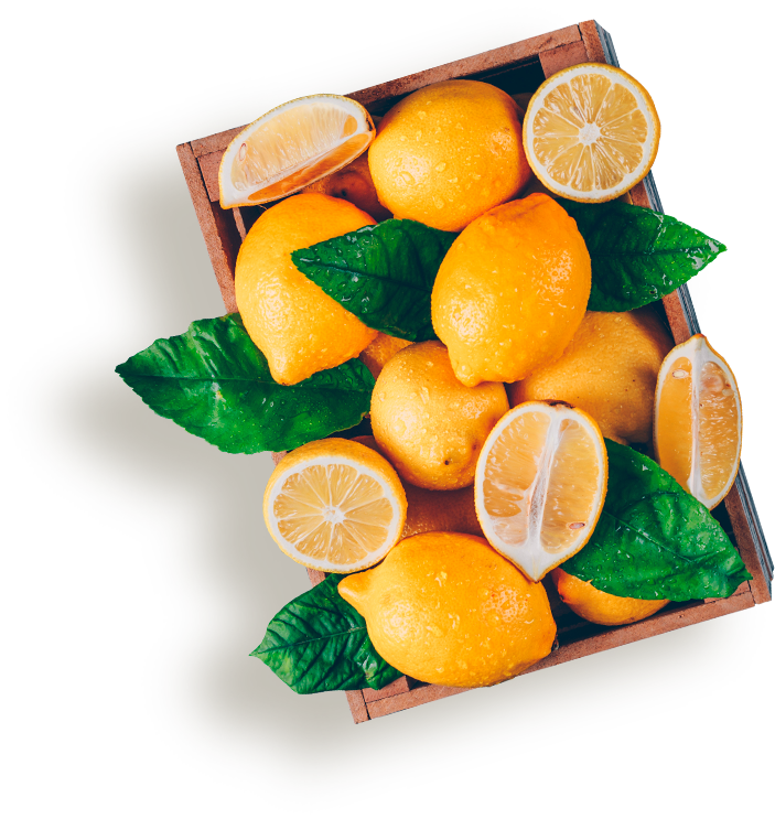 Delphinna Frutas para empresas