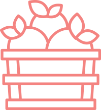Delphinna Frutas para empresas
